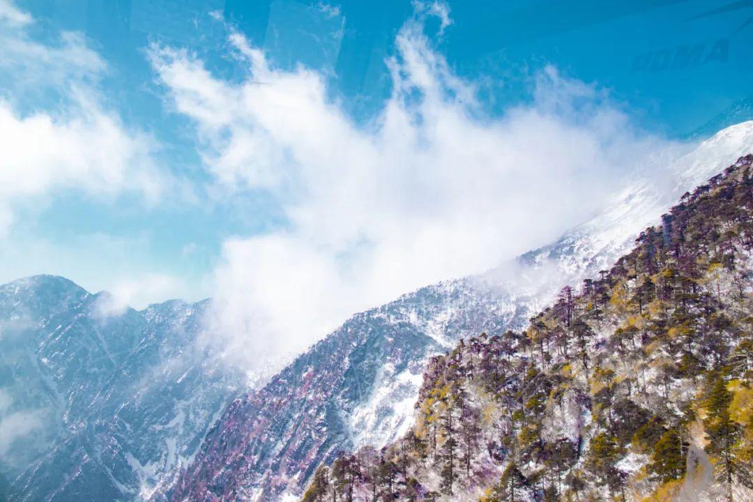 雪落微扬奇幻世界之旅探索小说最新章节发布